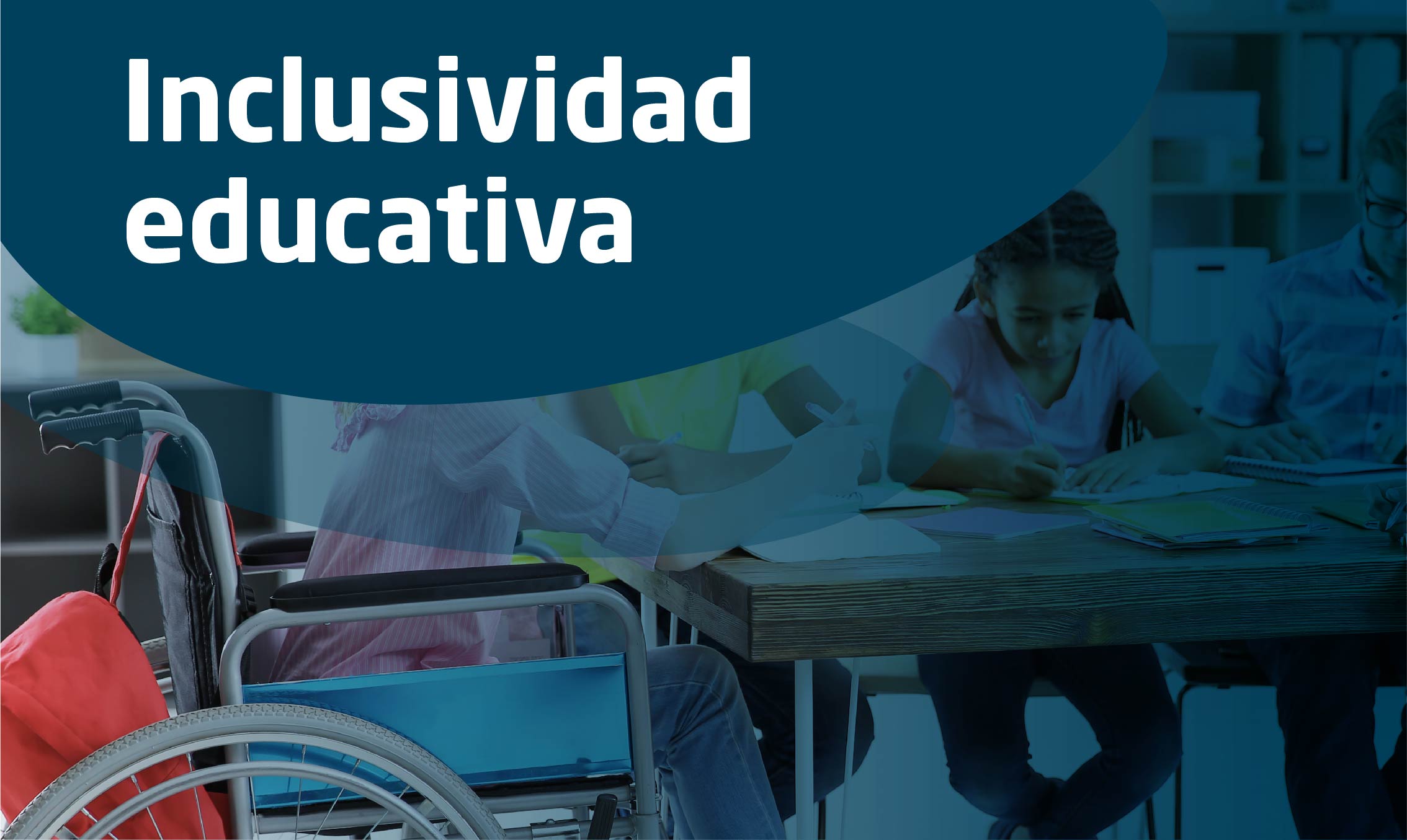 Curso introductorio a la inclusividad educativa